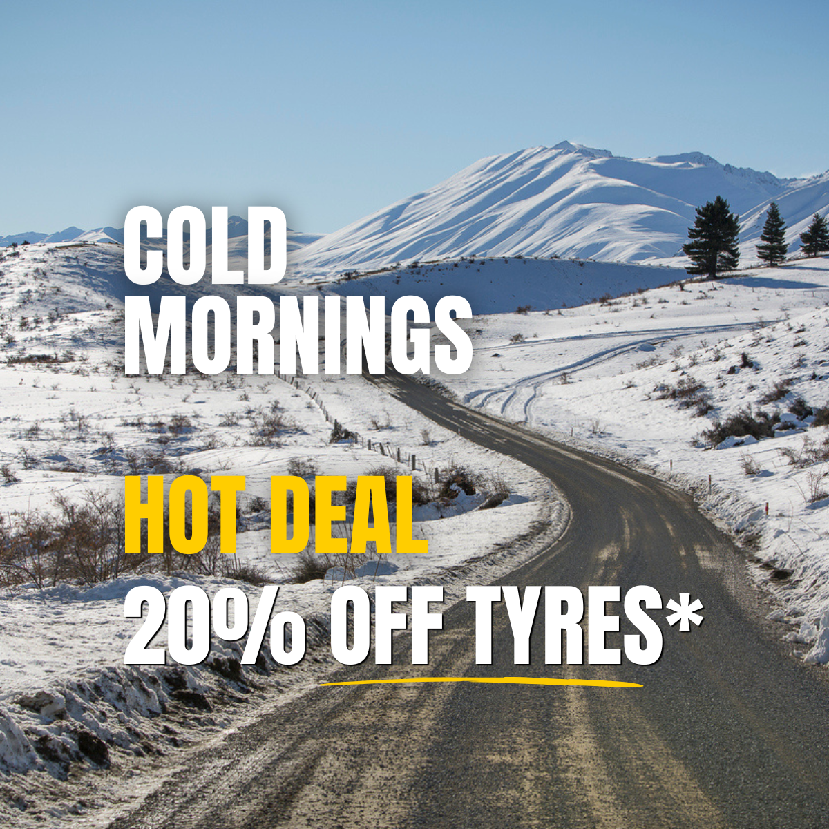 Winter Tyre Deal 20% Off Tyres